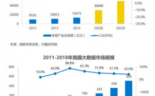 体育 数据分析，体育数据分析平台